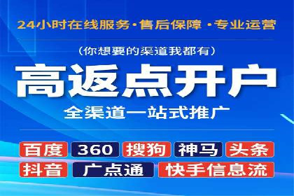 网络推广与竞价广告：双管齐下的策略案例